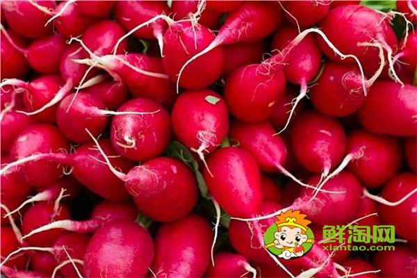 炒紅蘿卜要放什么調(diào)料，紅蘿卜做餡兒和什么是絕配