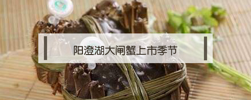 陽(yáng)澄湖大閘蟹上市季節(jié)