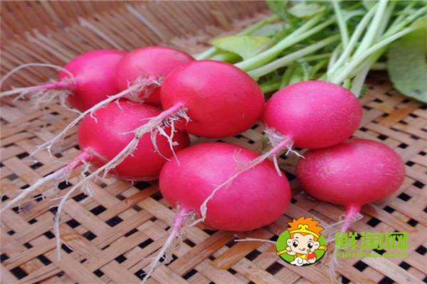 小蘿卜可以生吃嗎，白蘿卜生吃什么味道