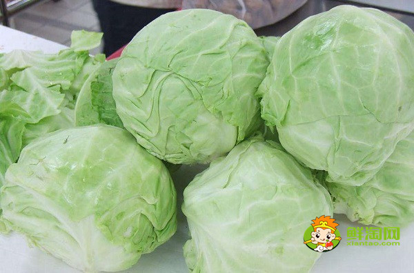 包菜怎么保存兩個月，包菜放冰箱兩個月還能吃嗎