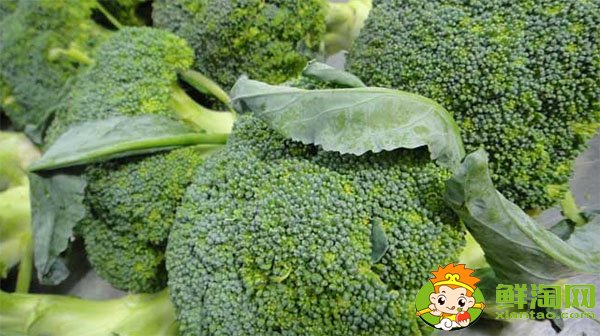 西蘭花煮黃了還能吃嗎,西蘭花煮多久能熟