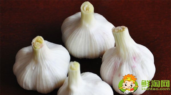 大蒜和冰糖煮水真的治咳嗽嗎,大蒜的功效與作用