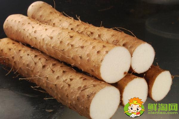 天冷吃什么菜熱乎？秋冬養生菜有哪些