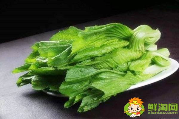 天冷吃什么菜熱乎？秋冬養生菜有哪些