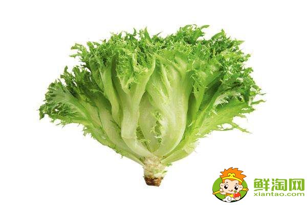 為什么吃萵苣不吃葉子，吃萵苣葉子的禁忌