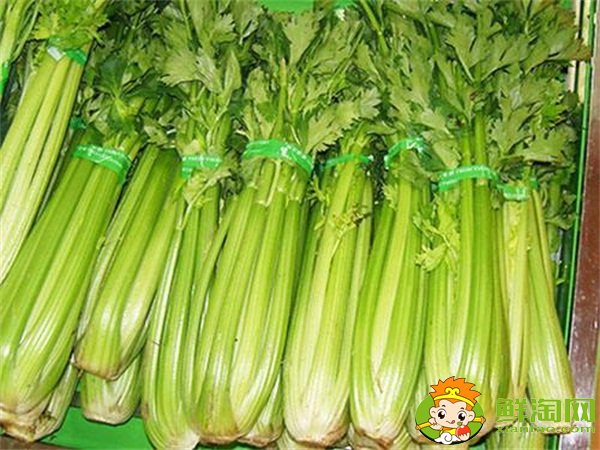 山東芹菜產(chǎn)地哪里有名,西芹哪里產(chǎn)的最好