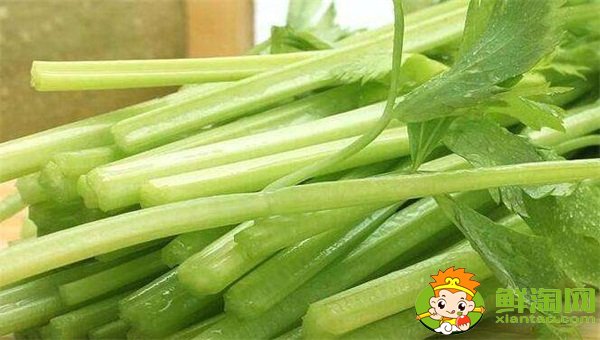 山東芹菜產(chǎn)地哪里有名,西芹哪里產(chǎn)的最好