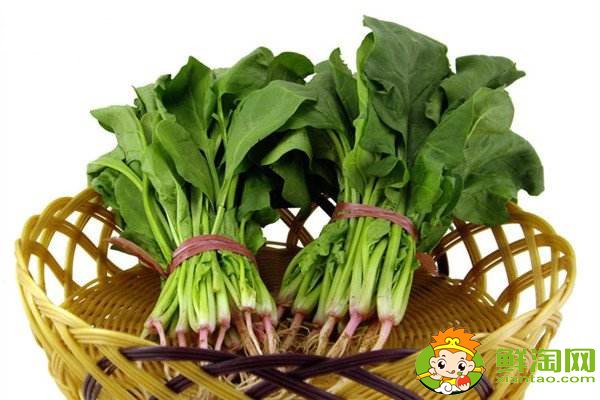 菠菜賤賣是什么梗，網(wǎng)絡(luò)語菠菜是什么意思