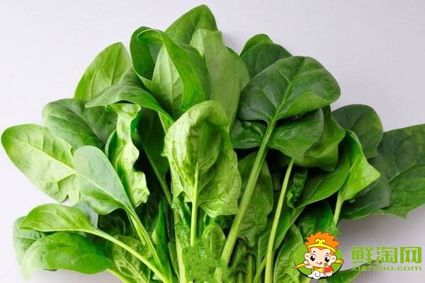 菠菜賤賣是什么梗，網(wǎng)絡(luò)語菠菜是什么意思