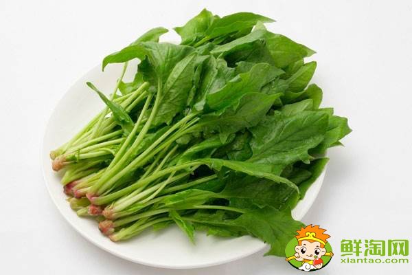 菠菜賤賣是什么梗，網(wǎng)絡(luò)語菠菜是什么意思
