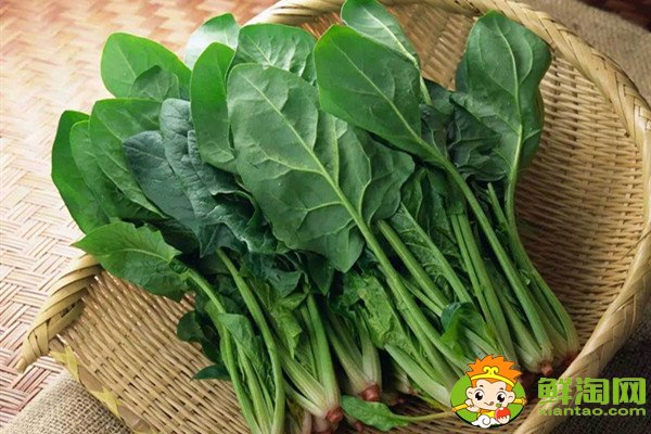 吃完菠菜要不要刷牙,為什么菠菜吃起來很澀口