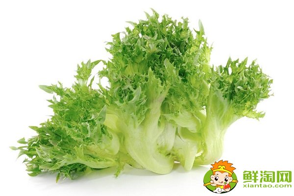 萵苣是筍子嗎，萵苣是生菜嗎