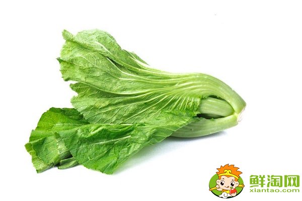芥菜就是酸菜嗎，芥菜是雪里紅嗎