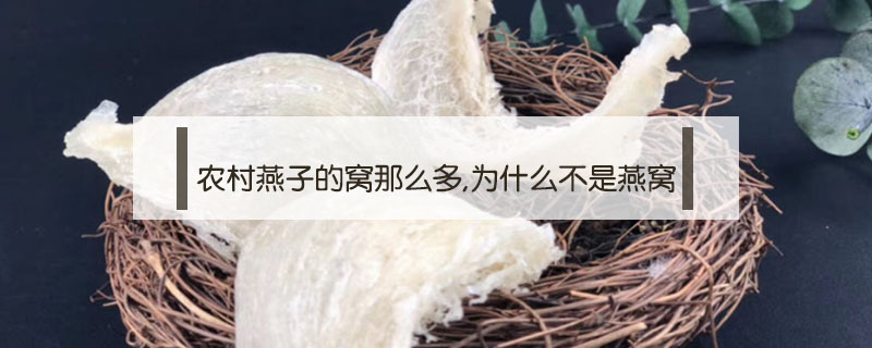 農(nóng)村燕子的窩那么多,為什么不是燕窩
