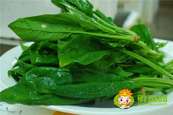 菠菜怎么煮出來又嫩又好吃，菠菜可以直接涮鍋嗎