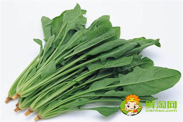 沒有冰箱如何保存菠菜,新鮮菠菜洗完怎么保存