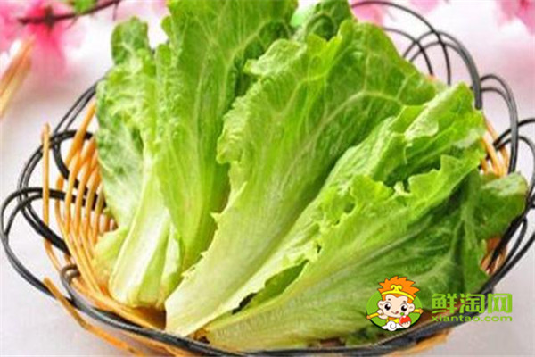 7種蔬菜更適合生吃，蔬菜生吃更有營養(yǎng)，廚房懶人必備