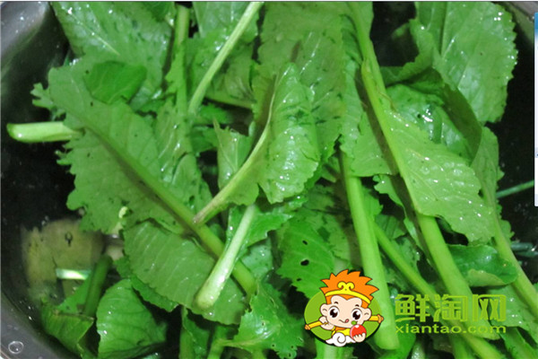 小青菜開水燙過能隔夜嗎，開水燙青菜有營養嗎