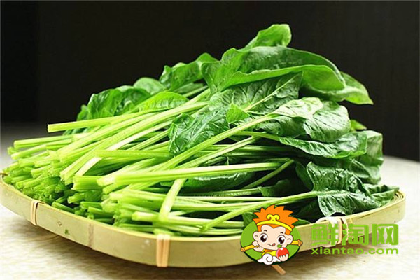 菠菜用開水燙一下能吃嗎，每天吃菠菜對身體好嗎