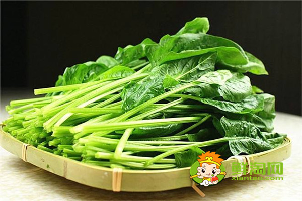 菠菜怎樣吃營養不流失，晚上吃菠菜影響睡眠嗎