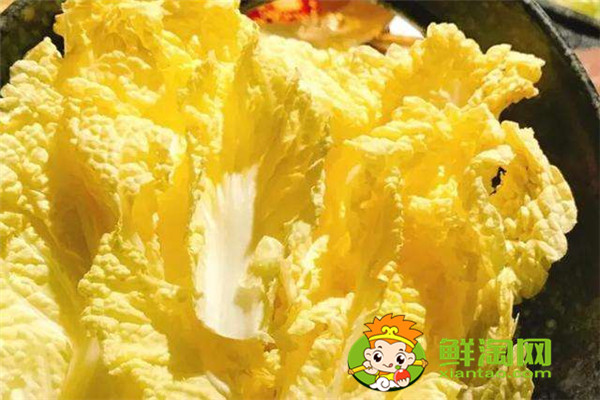 娃娃菜怎么存放時(shí)間長，娃娃菜常溫能放多久