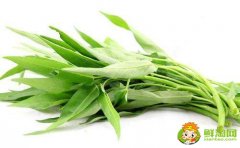 空心菜怎么擇菜，空心菜為什么不用