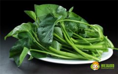 空心菜需要切斷嗎，炒空心菜幾分鐘熟