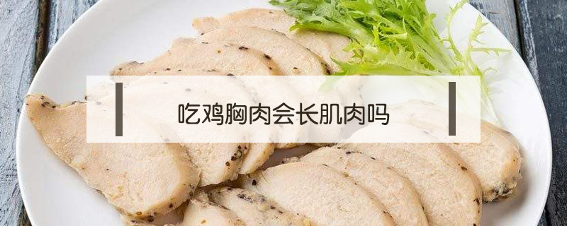 吃雞胸肉會長肌肉嗎