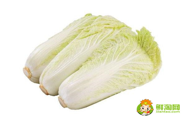 娃娃萊放在冷庫能保存多久，娃娃菜儲存時間最久的辦法