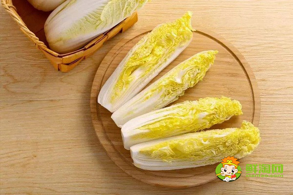 娃娃菜能放冰箱嗎，娃娃菜保鮮的小妙招