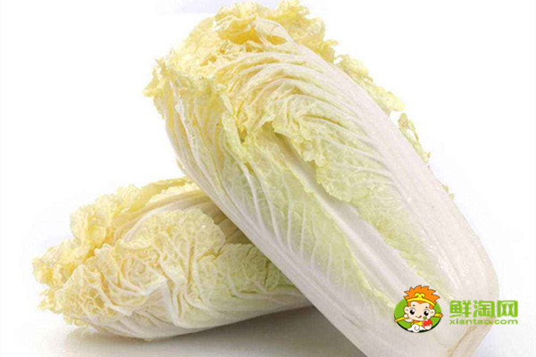 娃娃菜是白菜嗎，兩者的區別非常明顯