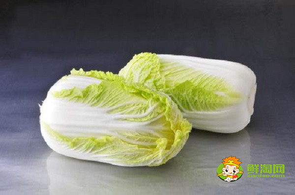 娃娃菜是白菜嗎，兩者的區別非常明顯
