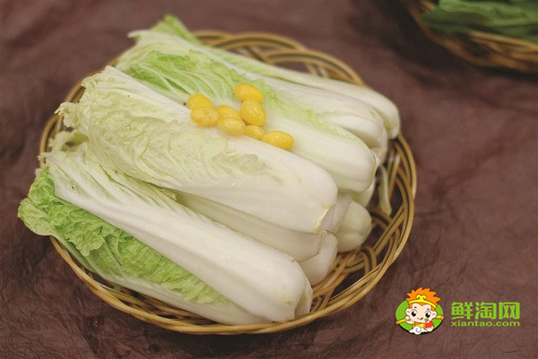 娃娃菜是白菜嗎，兩者的區別非常明顯