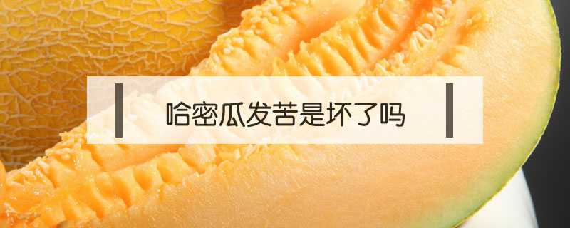 哈密瓜發(fā)苦是壞了嗎