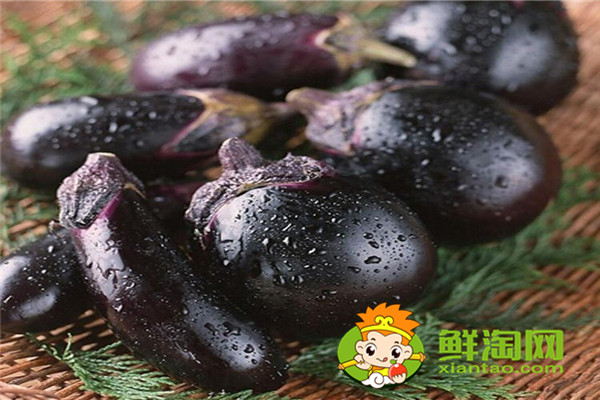 茄子是什么季節的,秋茄子能吃嗎