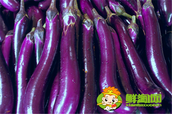茄子為什么要泡水，茄子硬的好還是軟的好