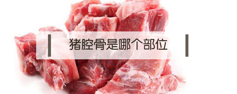 豬腔骨是哪個(gè)部位