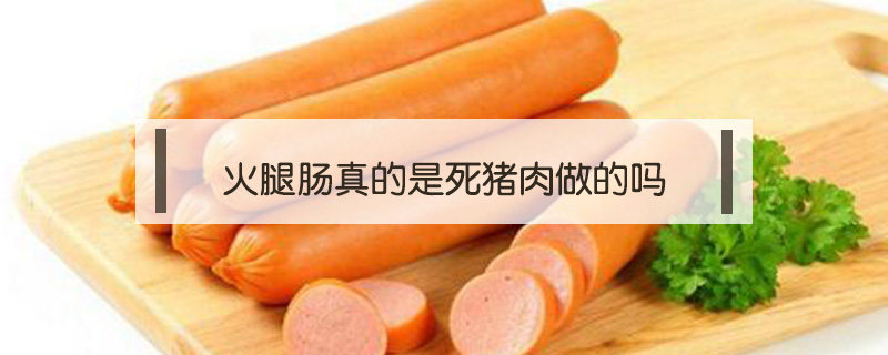 火腿腸真的是死豬肉做的嗎