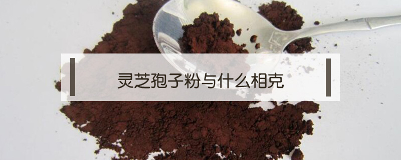 靈芝孢子粉與什么相克