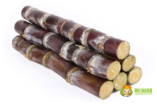 黑皮甘蔗是涼性還是熱性，黑皮甘蔗偏涼不適合體內(nèi)虛寒的人吃