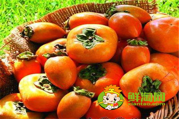 吃柿子有哪些禁忌和好處,哪些人不能吃柿子