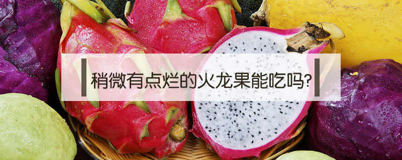 稍微有點爛的火龍果能吃嗎?