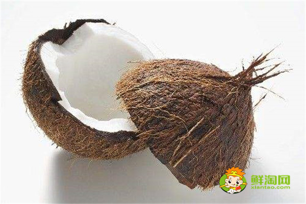 海南椰子和泰國(guó)椰子的區(qū)別，椰子什么時(shí)候成熟