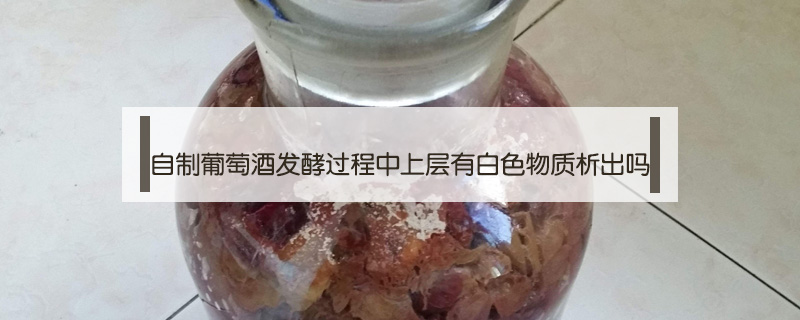 自制葡萄酒發(fā)酵過程中上層有白色物質(zhì)析出嗎