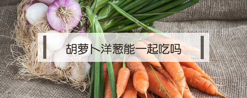胡蘿卜洋蔥能一起吃嗎