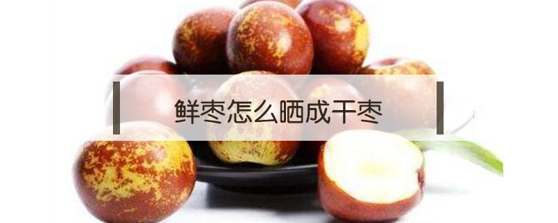 鮮棗怎么曬成干棗