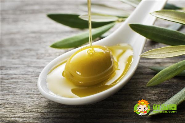 橄欖油的價格,橄欖油的好處