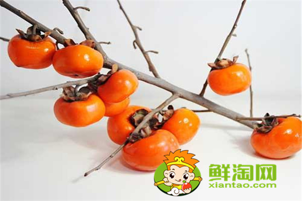 柿子的熱量，柿子吃多了會發胖嗎