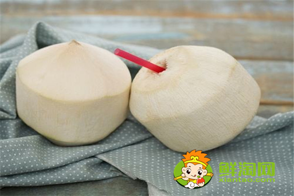 毛椰子和青椰子的區(qū)別，怎么挑選椰子