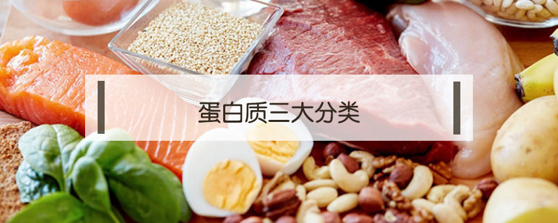 蛋白質(zhì)三大分類